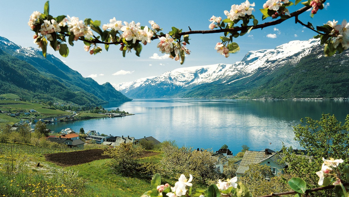 Résultat de recherche d'images pour "hardangerfjord"