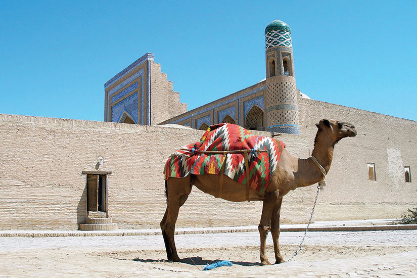 http://images.salaun-holidays.com/(Image)-image-Ouzbekistan-Khiva-camel-16-it_5715436-09032017.jpg